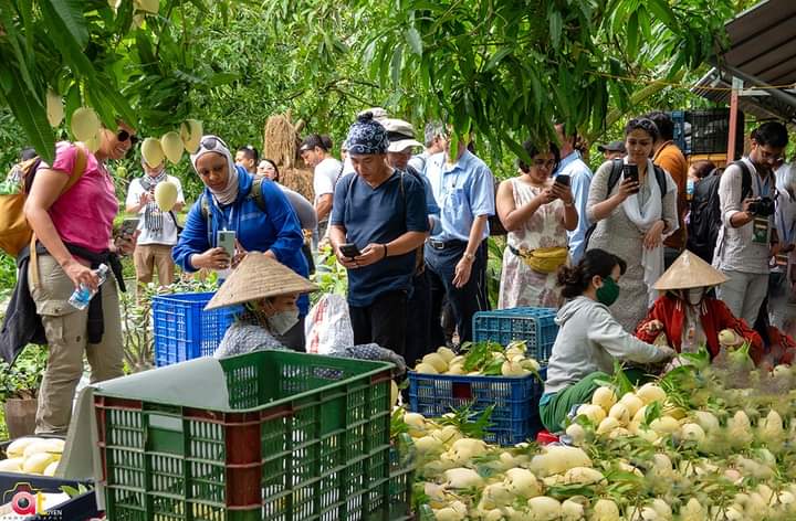 Sắp diễn ra Lễ hội Xoài Đồng Tháp năm 2023