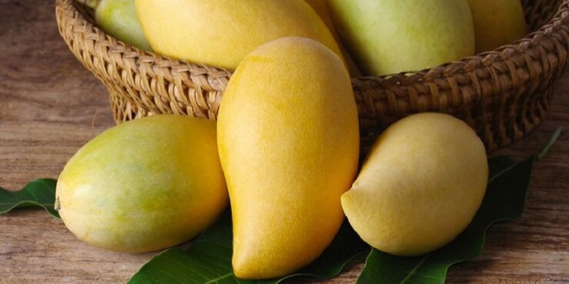 Tiêu chí đánh giá mua xoài sạch ở đâu? 