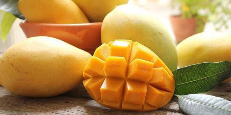 Xoài Sạch - Trang web đáng tin cậy cung cấp nông sản số 1 