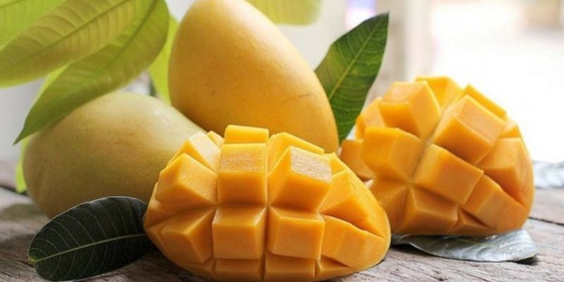 Xoài Sạch – Cam Kết Chất Lượng Nông Sản Hàng Đầu Việt Nam 