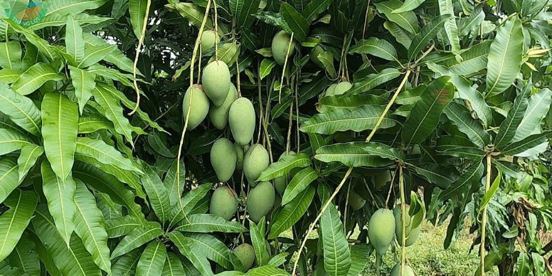 Vị thế và lợi thế của đồng tháp 