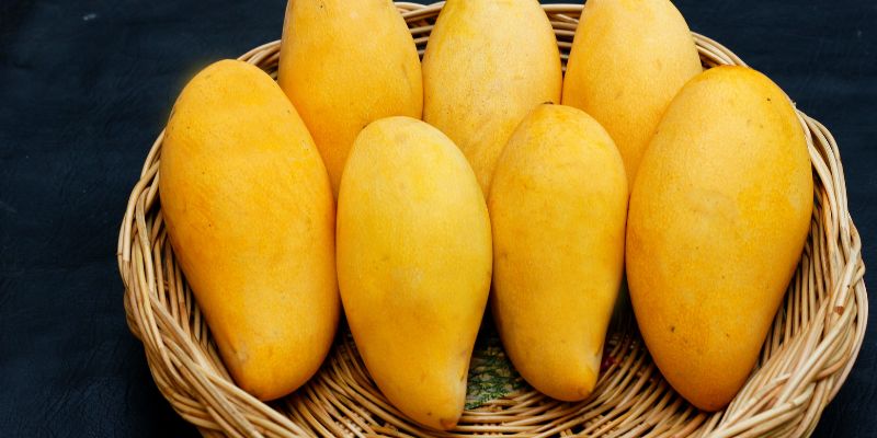 Xoài Sạch mang đến những sản phẩm tốt nhất 