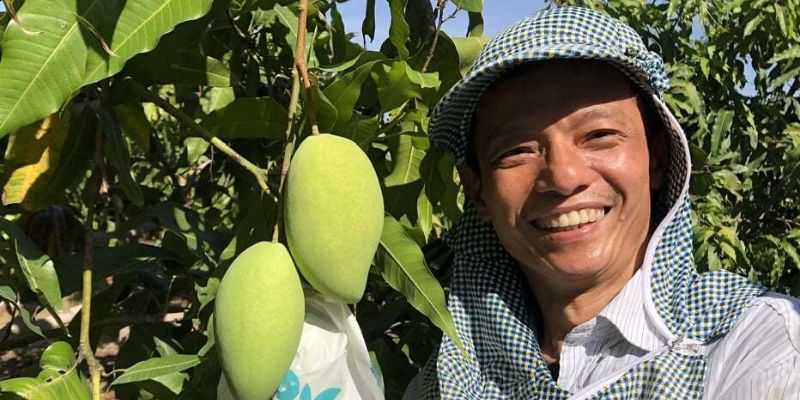 Xoài hữu cơ từ tâm được đảm bảo tuyệt đối 