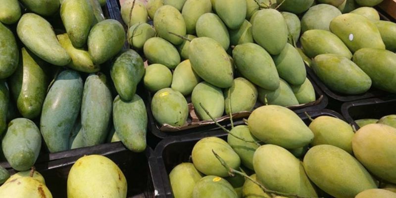Xoài Sạch là trang web cung cấp nông sản uy tín 