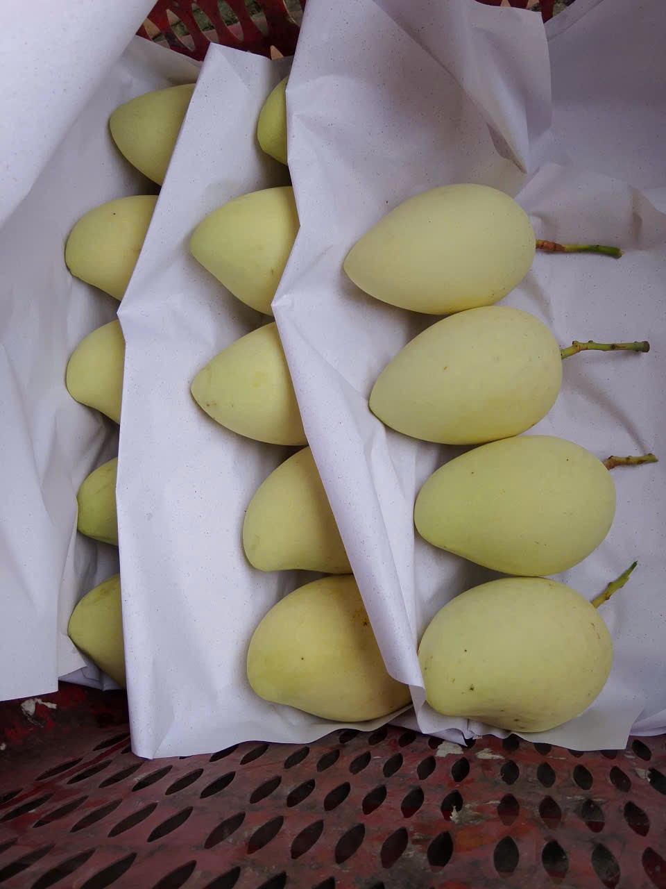 Vị thế và lợi thế của đồng tháp 